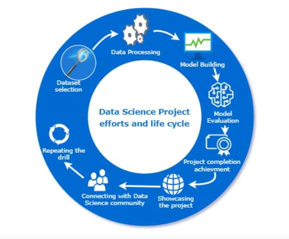 Data Science Project | businesstoys.in